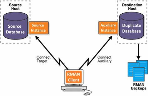 Oracle Data Backup